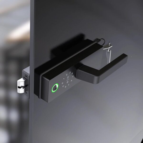 Meriya  Glass Swing Door Smart Lock - Image 3